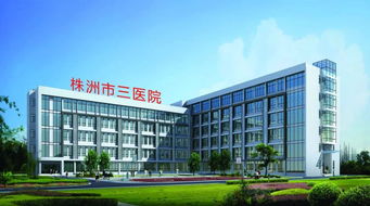 株洲市三醫(yī)院 微創(chuàng)技術(shù)開(kāi)啟新篇章，賦能新材料技術(shù)開(kāi)發(fā)服務(wù)